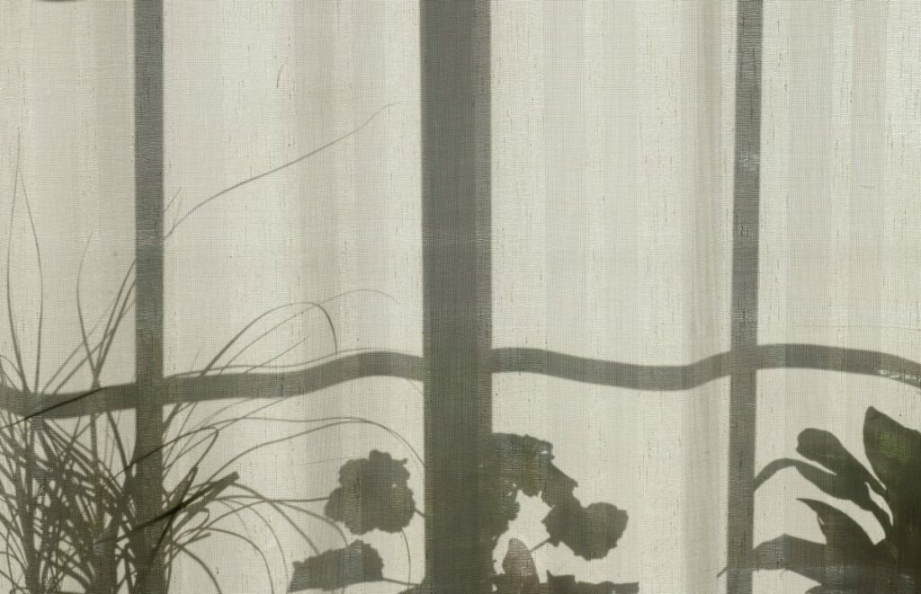 gray window pane with dark plant shadows