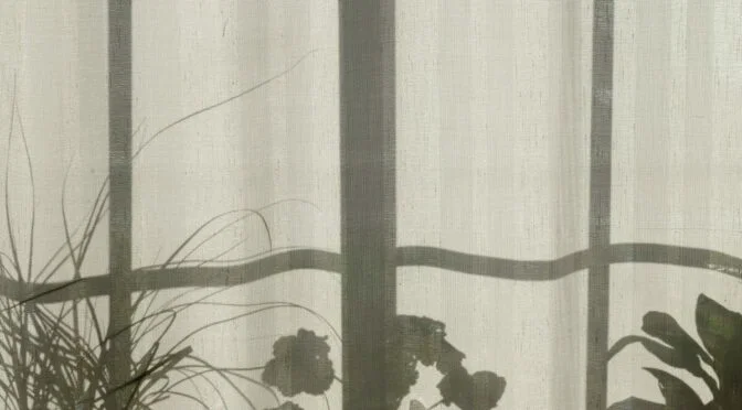 gray window pane with dark plant shadows