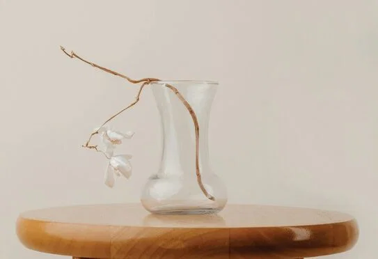 book cover that says terminal diagnosis, brown table with clear vase