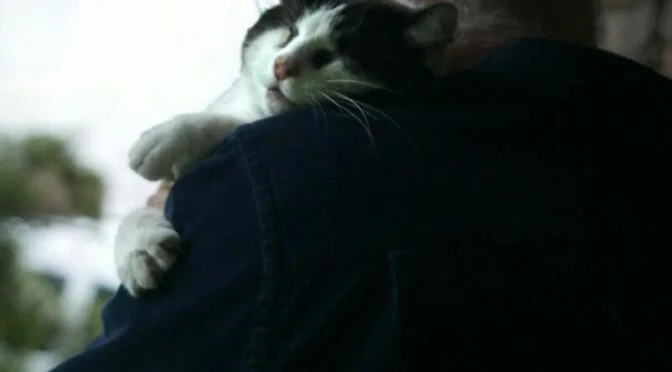 Photo of man holding black and white cat