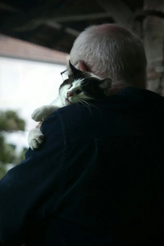 Photo of man holding black and white cat