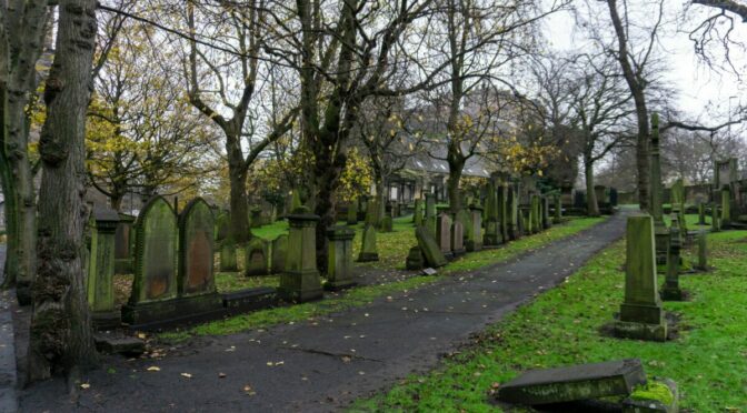 Photo of road through cemetary