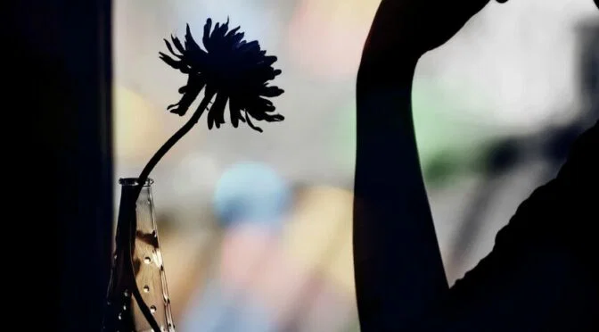 Photo of silhouette of woman with vase on table against blurred window