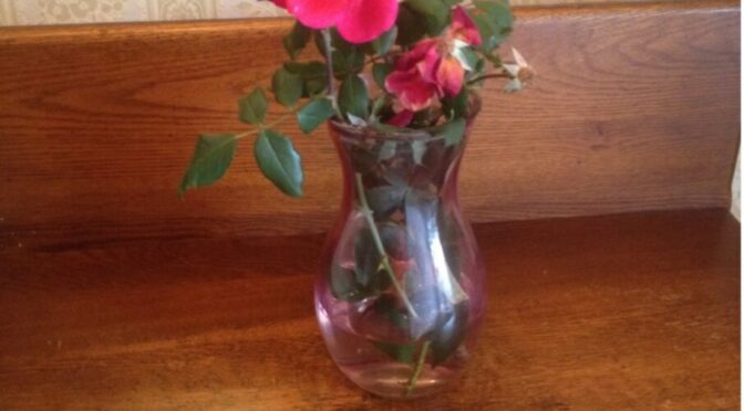 Photo of numerous pink roses in vase